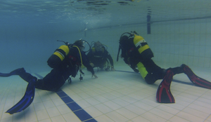 Exercises in the swimming pool