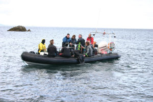 A rib full of divers