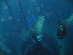 Submarine Escape Training Tank 